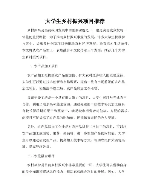 大学生乡村振兴项目推荐