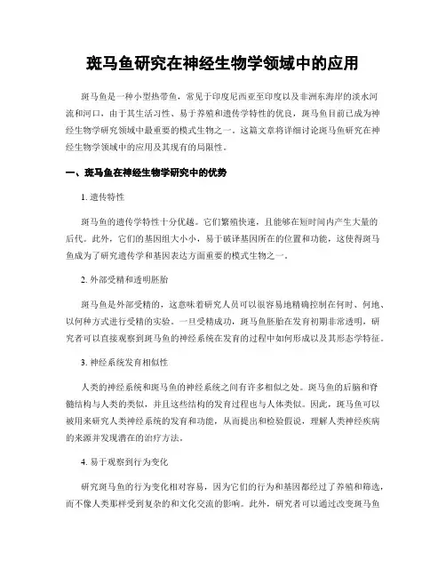 斑马鱼研究在神经生物学领域中的应用