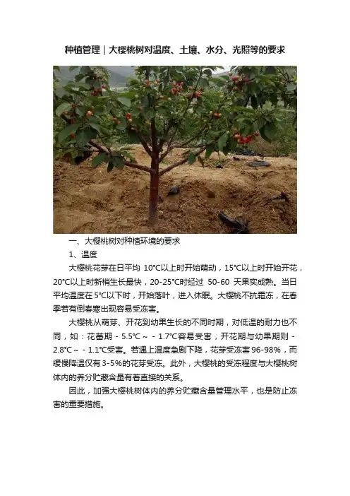 种植管理｜大樱桃树对温度、土壤、水分、光照等的要求