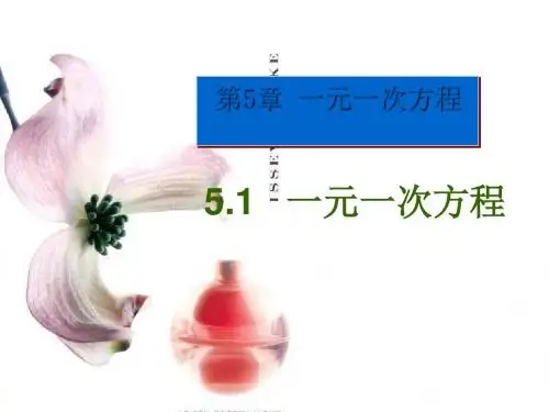 一元一次方程 PPT课件 6 浙教版