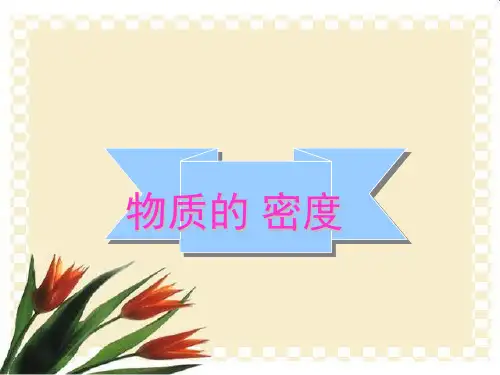 物质的密度PPT课件(初中科学)