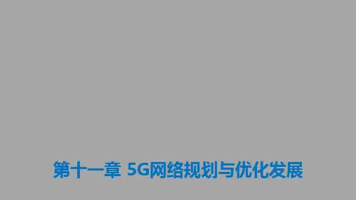 《5G无线网络规划与优化》第11章-5G网络规划与网优发展