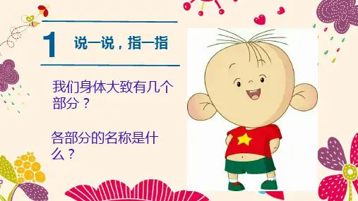 身体各部分名称与功能