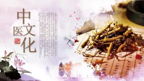 中医文化中药药材草药养生医学PPT模板介绍宣传计划汇报报告通用