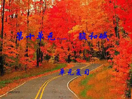九年级化学下册《10.1 常见的酸和碱》复习课件 