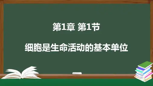 细胞是生命活动的基本单位课件(共33张PPT)人教版必修1