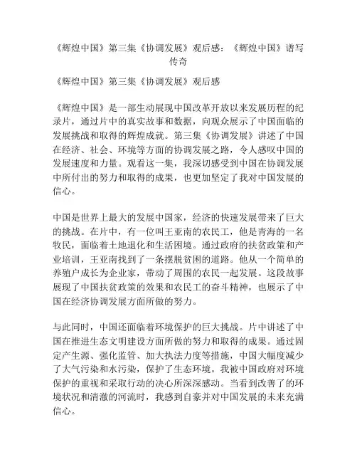《辉煌中国》第三集《协调发展》观后感：《辉煌中国》谱写传奇