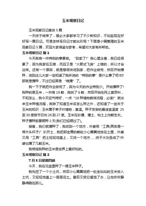 玉米观察日记集合5篇