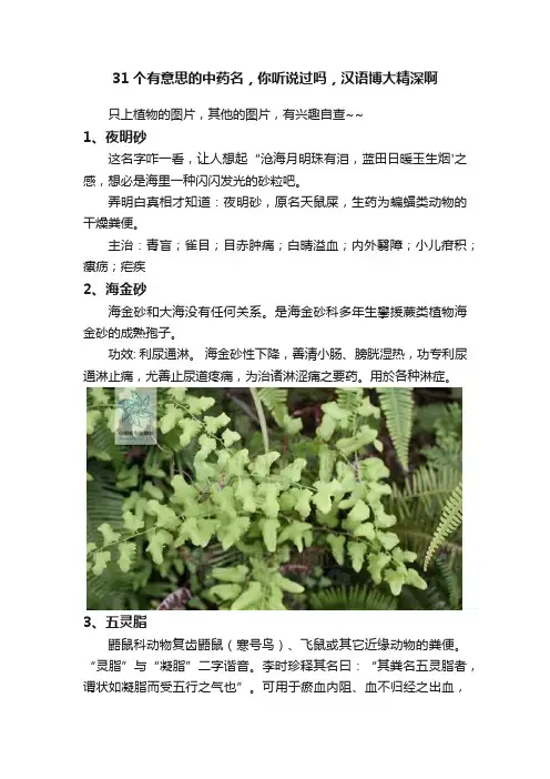 31个有意思的中药名，你听说过吗，汉语博大精深啊