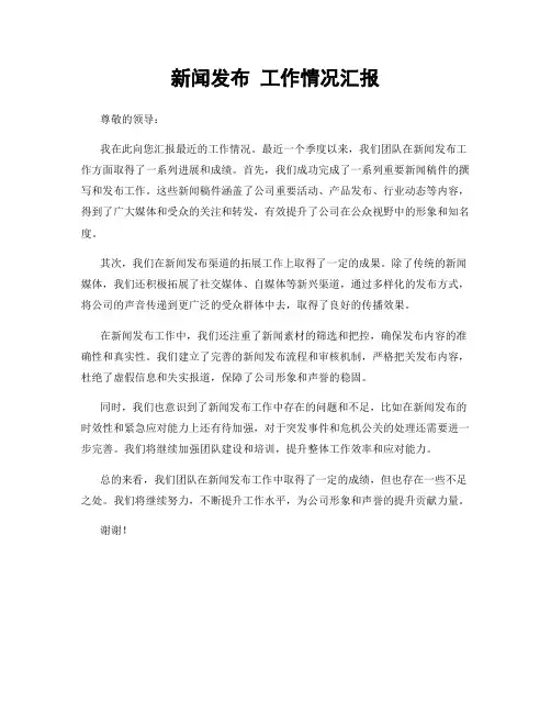 新闻发布 工作情况汇报