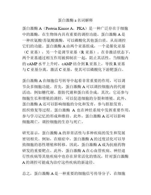 蛋白激酶a名词解释