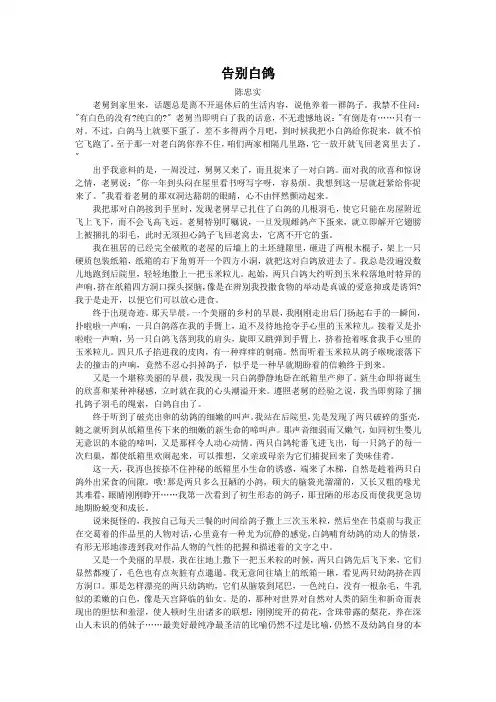 告别白鸽(2013吉林中考语文记叙文阅读)