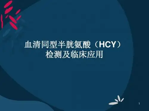 新HCY