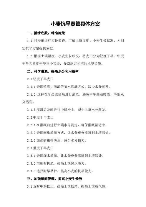 小麦抗旱春管具体方案