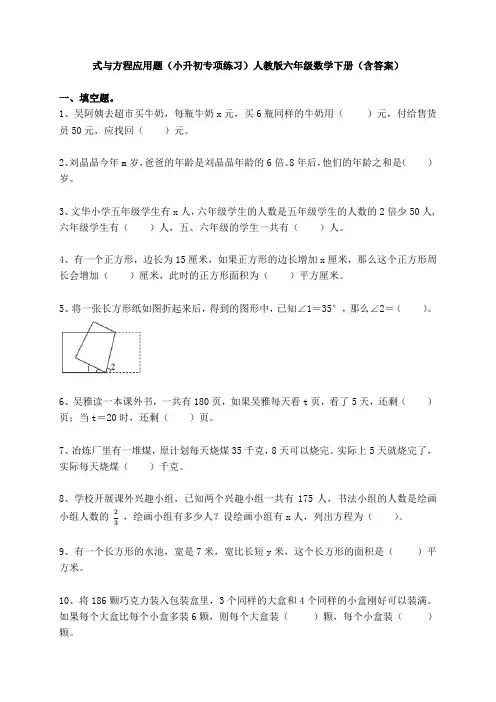 式与方程应用题(小升初专项练习)人教版六年级数学下册(含答案)