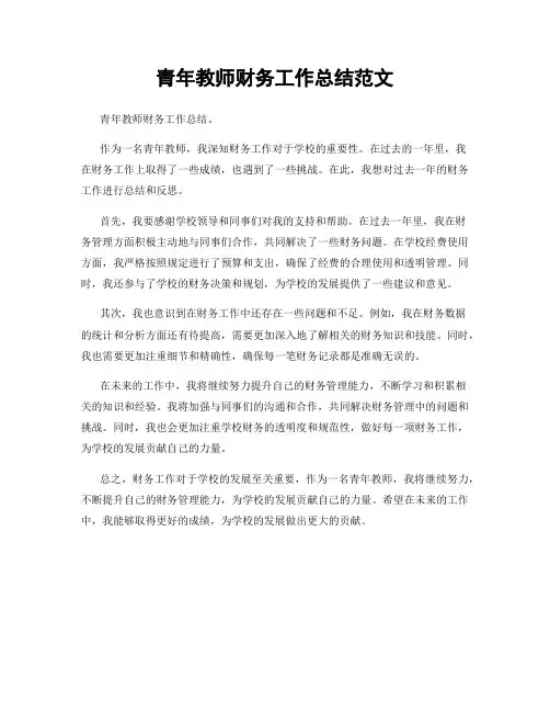 青年教师财务工作总结范文
