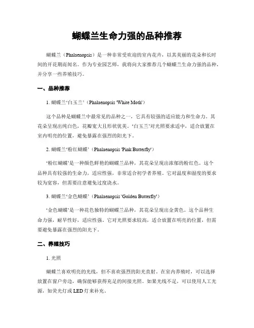 蝴蝶兰生命力强的品种推荐
