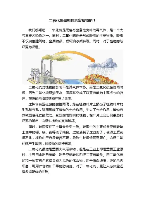 二氧化硫是如何危害植物的？