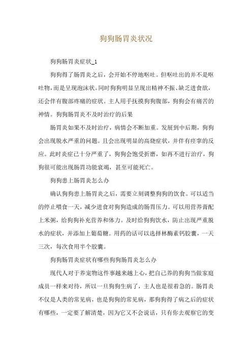 狗狗肠胃炎状况