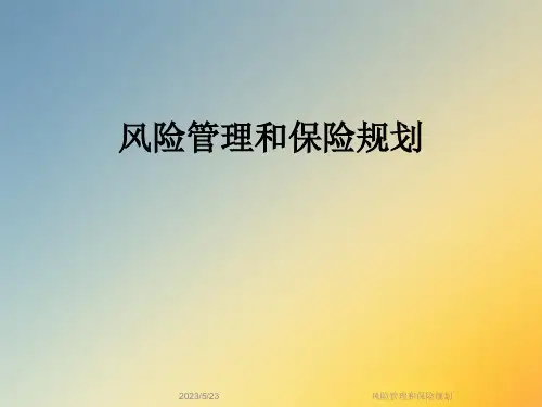 风险管理和保险规划
