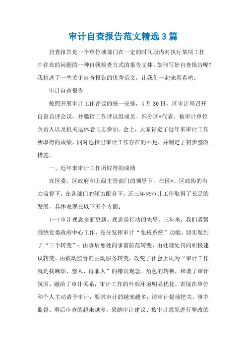 审计自查报告范文精选3篇