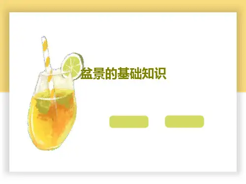 盆景的基础知识24页PPT