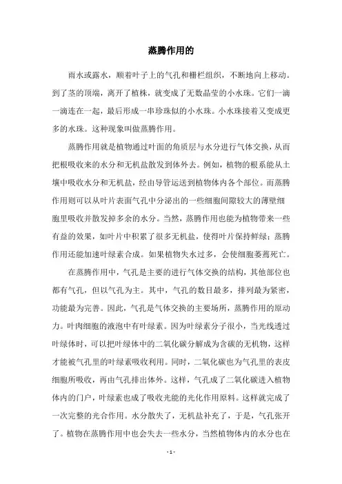 蒸腾作用的