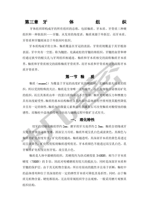牙体组织