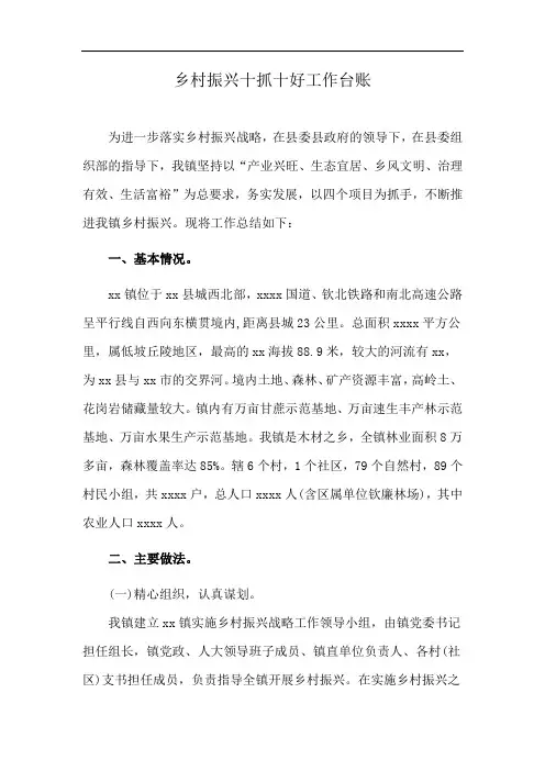 乡村振兴十抓十好工作台账