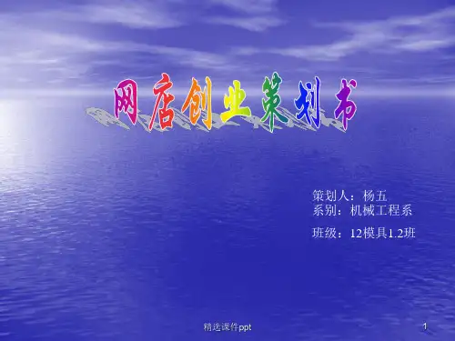 大学生网店创业与规划ppt课件