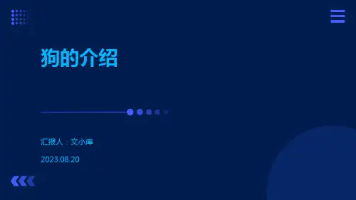 狗的介绍PPT