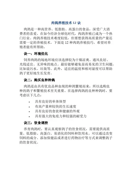 肉鸽养殖技术12诀
