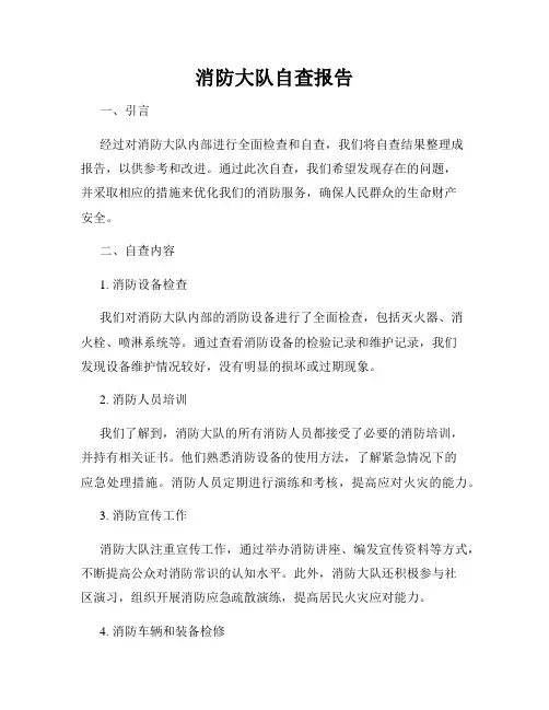消防大队自查报告