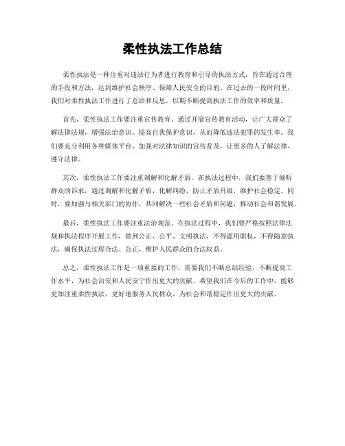 柔性执法工作总结
