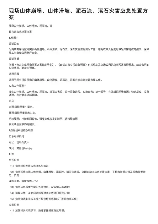 现场山体崩塌、山体滑坡、泥石流、滚石灾害应急处置方案