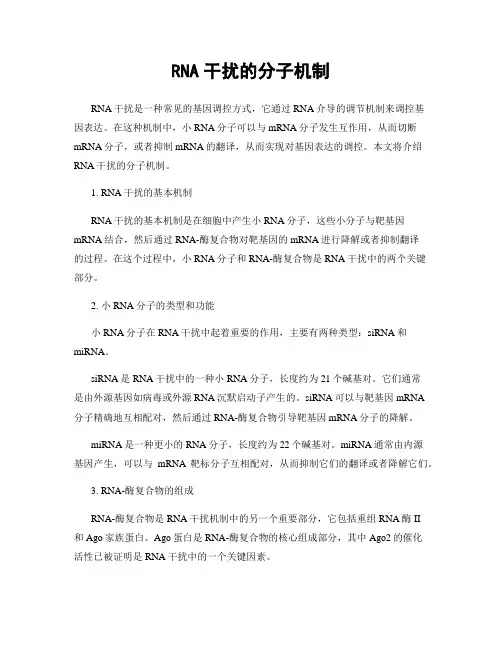 RNA干扰的分子机制