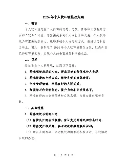 2024年个人软环境整改方案