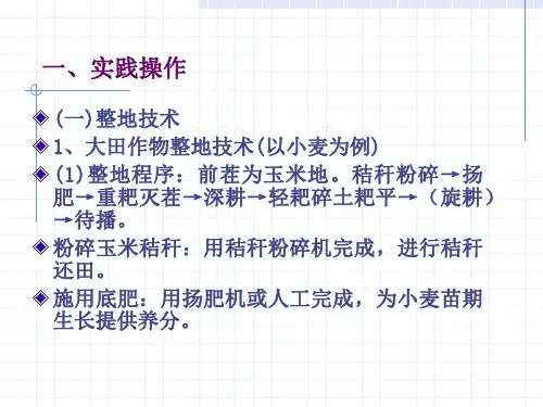 小麦整地播种技术应用环节ppt课件