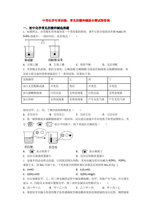 中考化学专项训练：常见的酸和碱综合测试附答案