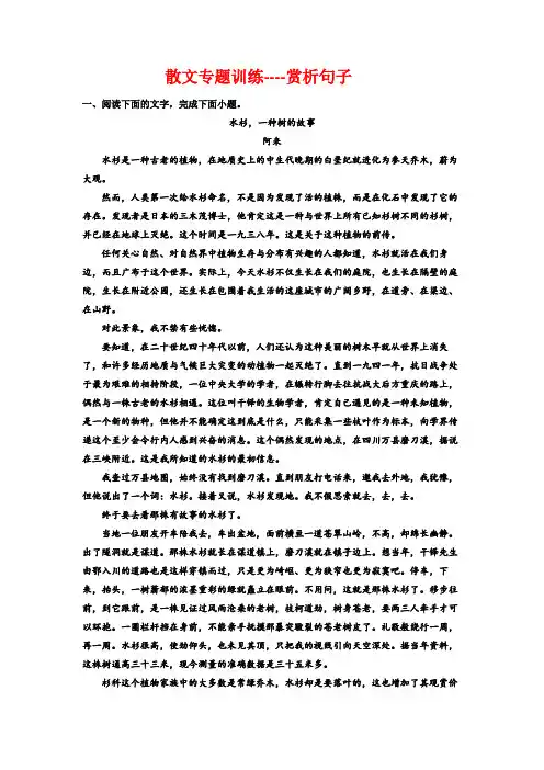 高考专题复习：散文专题训练赏析句子
