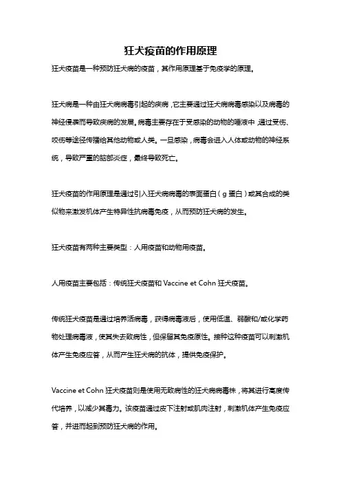 狂犬疫苗的作用原理