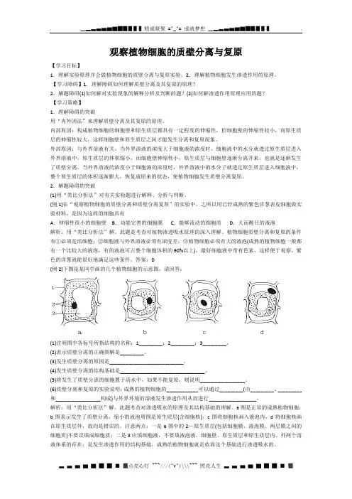 (完整版)高三生物二轮复习9观察植物细胞的质壁分离与复原