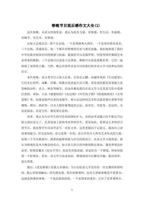 春晚节目观后感作文600字5篇