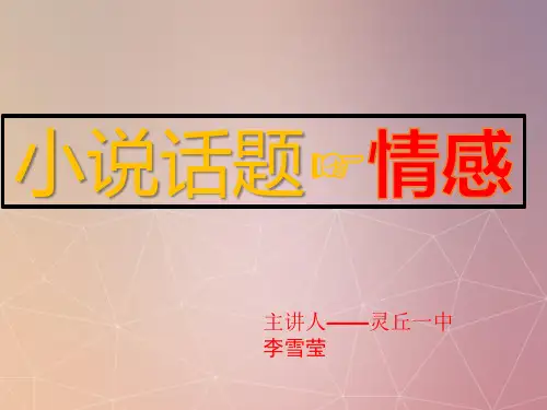 小说情感专题.pptx