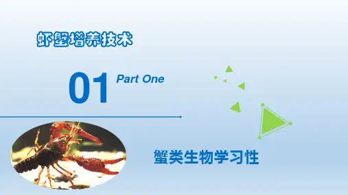 虾蟹养殖基础知识—虾蟹类的外部型态