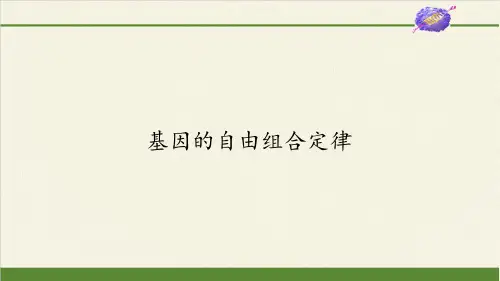 高中生物必修二课件-3.2.1基因的自由组合定律3-苏教版