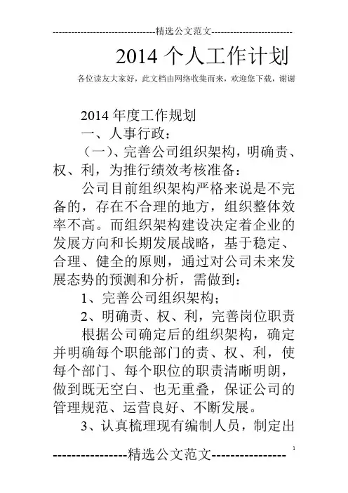 2014个人工作计划