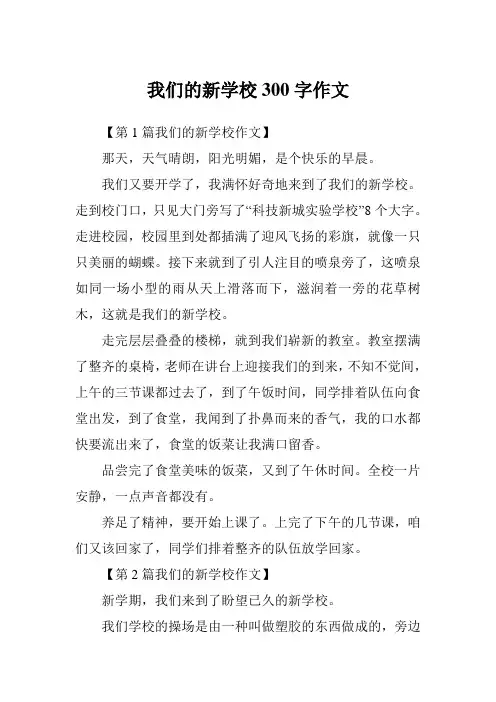 我们的新学校300字作文