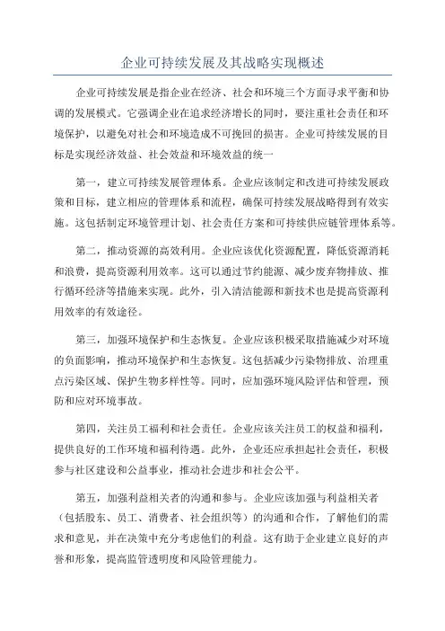 企业可持续发展及其战略实现概述