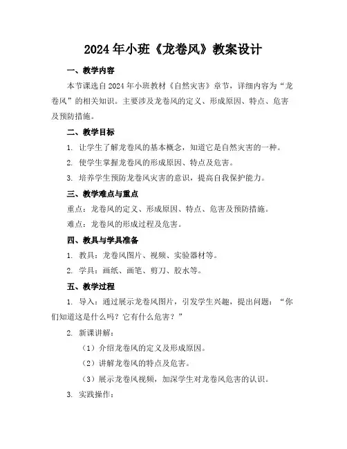 2024年小班《龙卷风》教案设计
